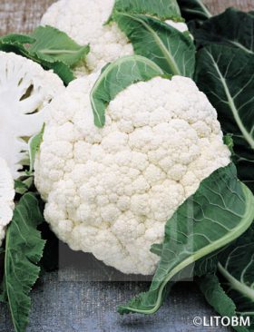 Cavolfiore