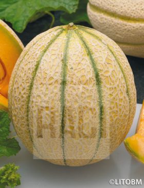 Melone
