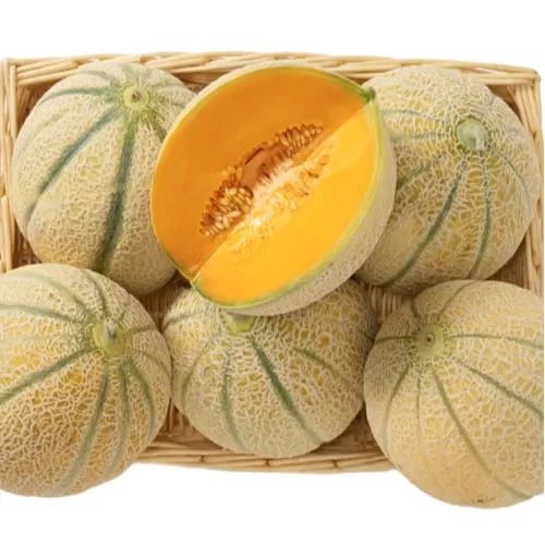 Melone - RETATO DEGLI ORTOLANI