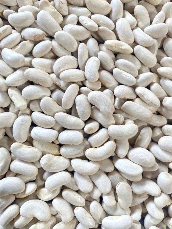 Seme di Fagiolo rampicante - MARCONI A GRANO BIANCO