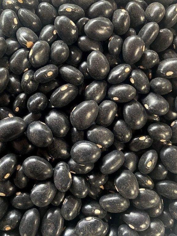 Seme di Fagiolo rampicante - MERAVIGLIA DI VENEZIA A GRANO NERO