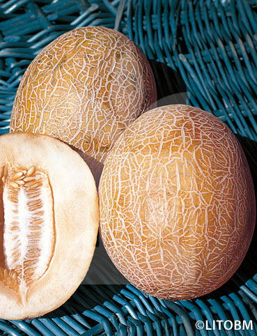 Melone – ANANAS