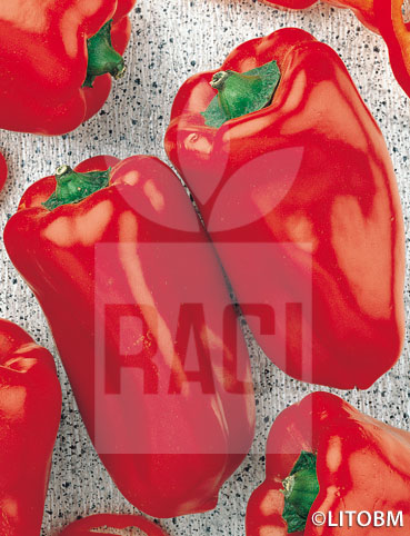 Peperone – DULCE ITALIANO